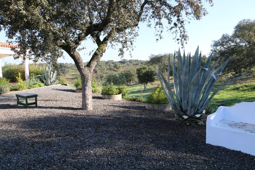 Monte Novo Da Sobreira, Rust En Ruimte In Zuid Alentejo Apartment Ourique Exterior photo